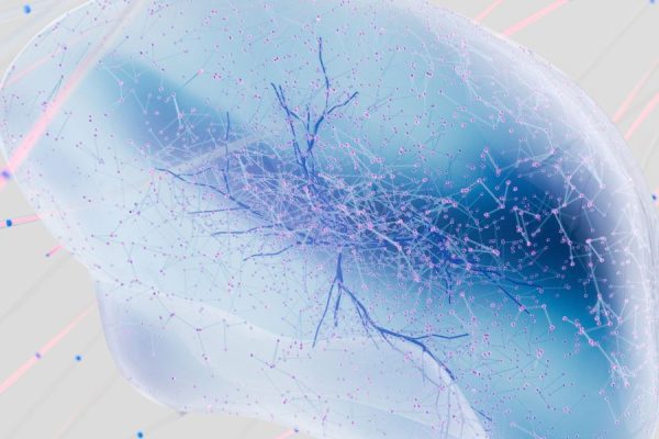 This article walks you through a reader-friendly tour of brain anatomy and why a labeled diagram matters for memory, focus, and learning. It explains the major...