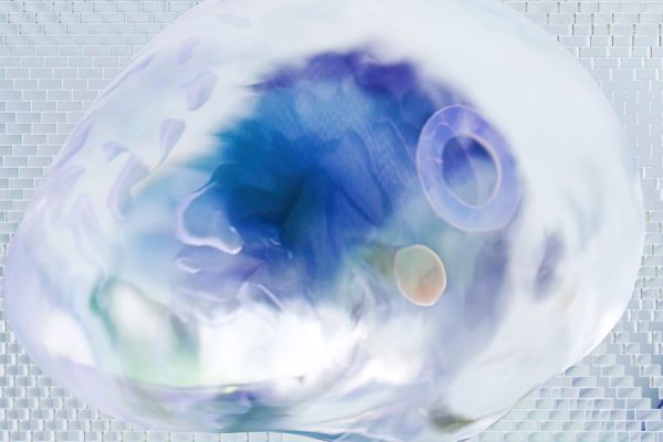 This article explains why a clear, labeled brain diagram helps you understand memory and focus and how that understanding leads to better learning. It describes...