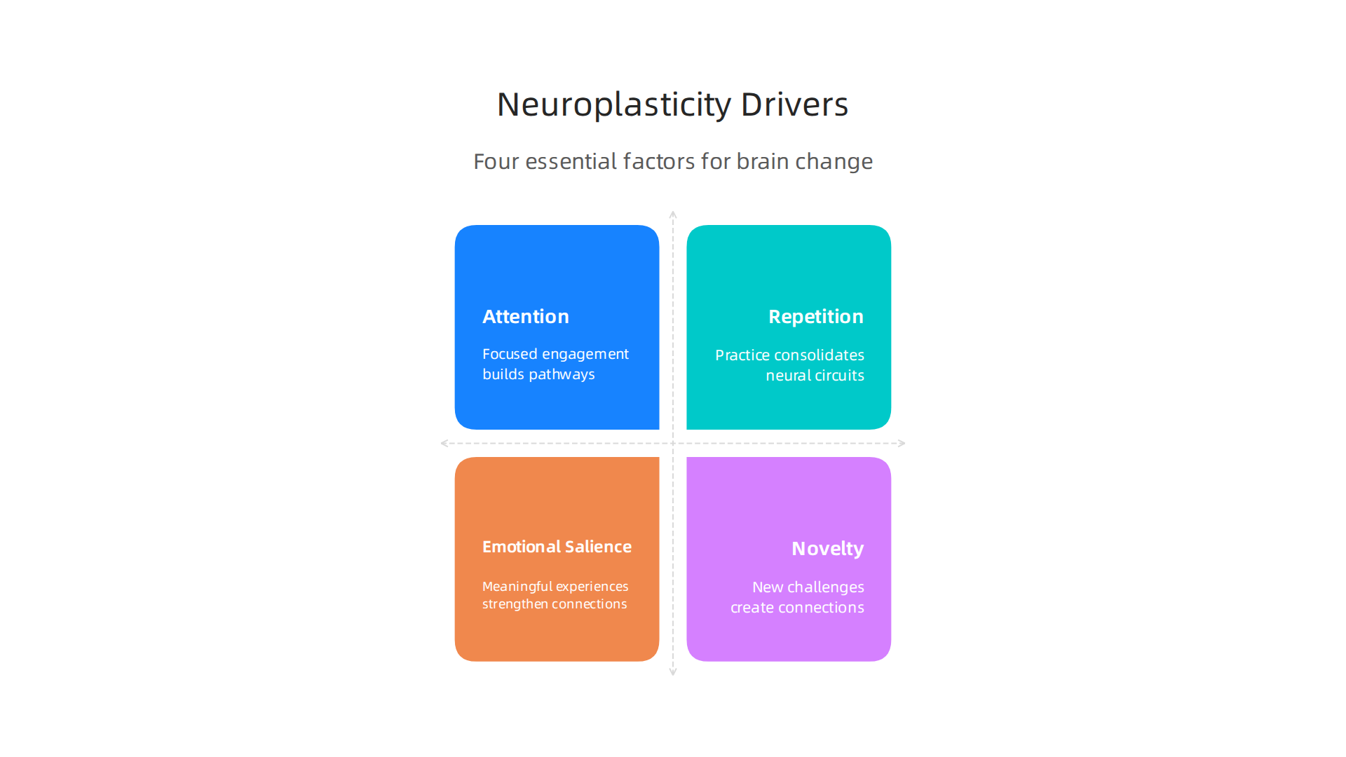 Understand the four essential factors that promote neuroplasticity and brain rewiring throughout life.