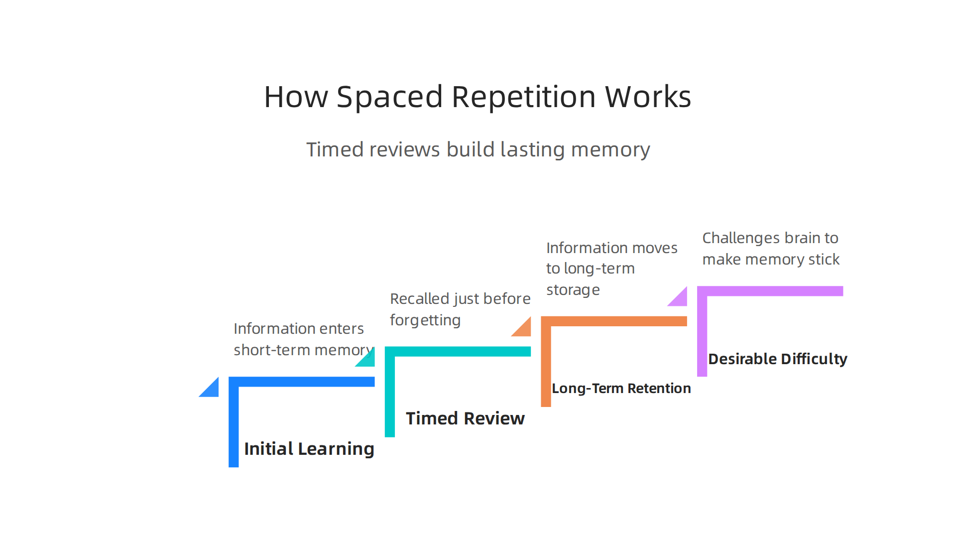 Spaced Repetition uses timed reviews to solidify information, turning short-term memories into lasting knowledge.