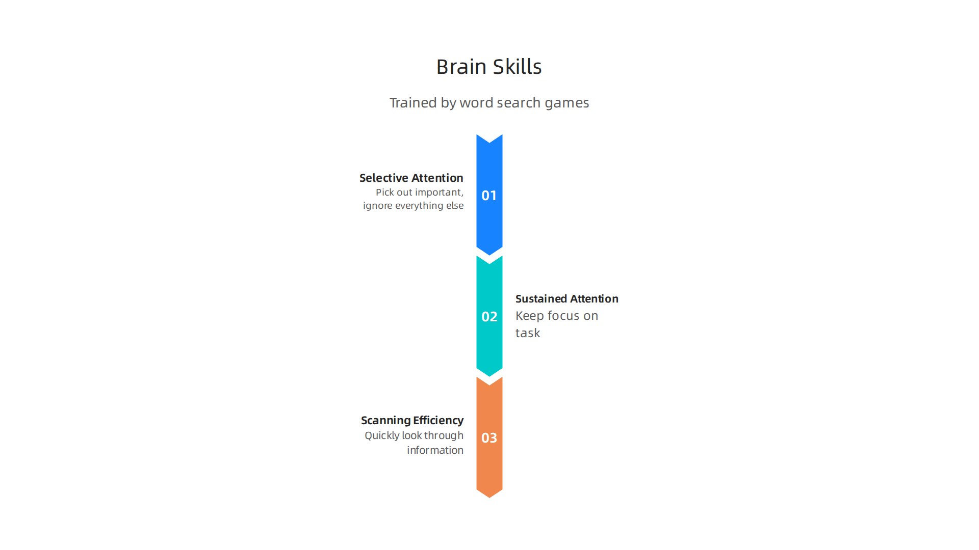 Word search games enhance key brain skills: selective attention, sustained attention, and scanning efficiency.