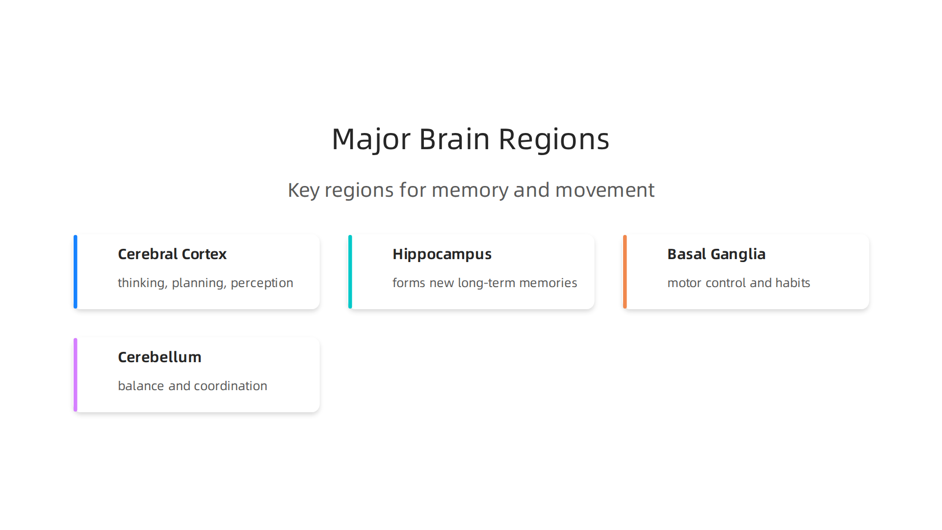 Key brain regions are responsible for distinct cognitive and motor functions essential for daily life.