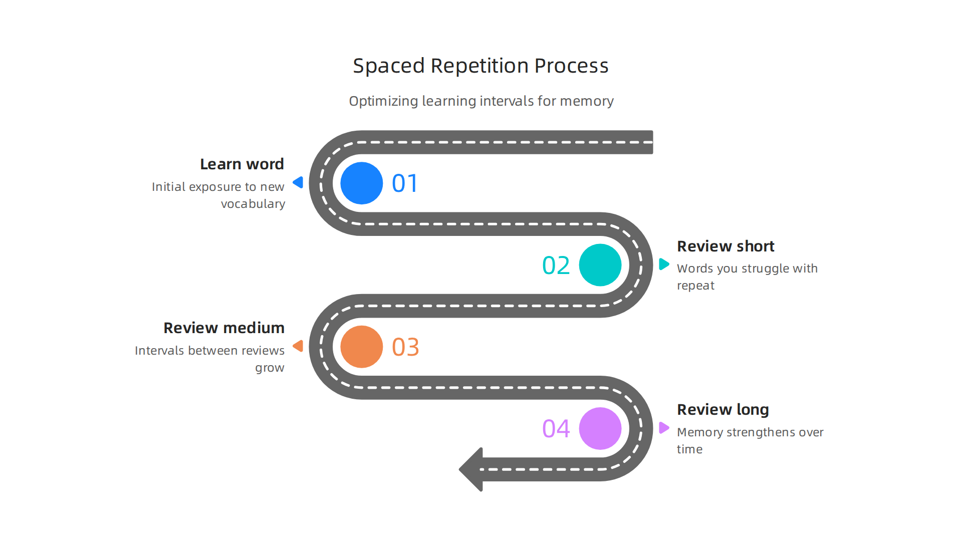Understanding how spaced repetition optimizes learning intervals for long-term memory.