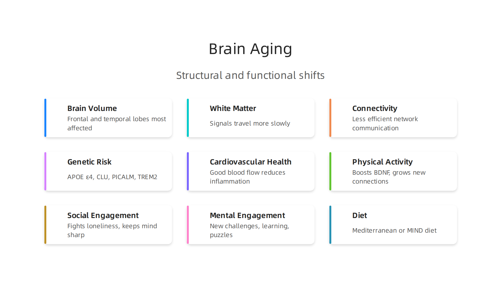 Infographic illustrating the structural and functional changes in the brain during late adulthood.