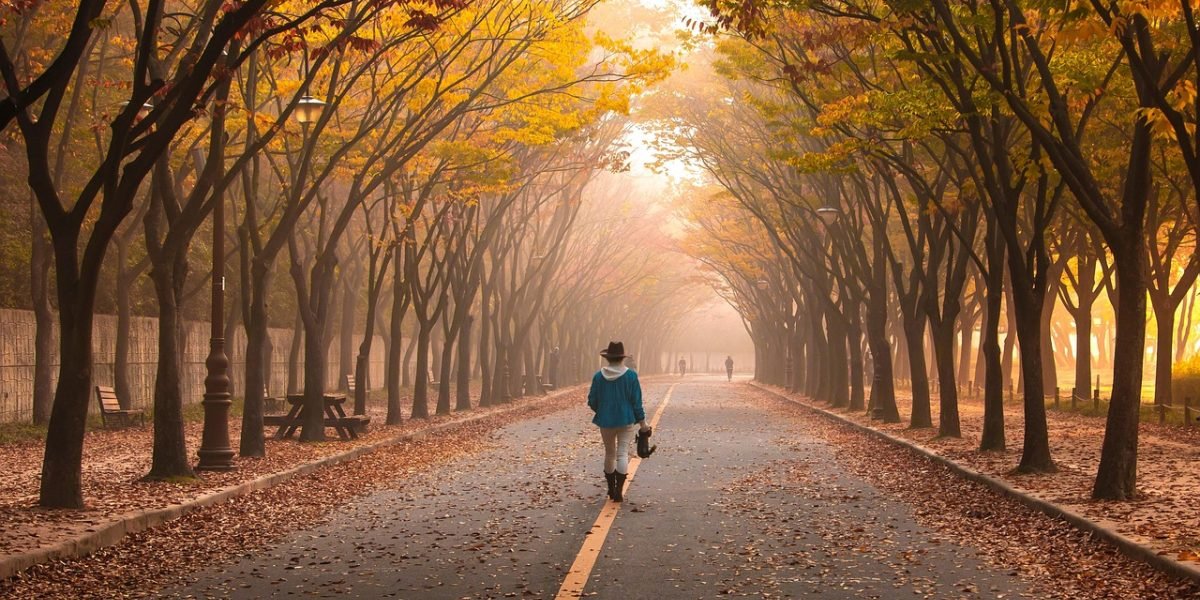 An older adult enjoying a brisk walk in a park, emphasizing the benefits of physical activity for cognitive health.