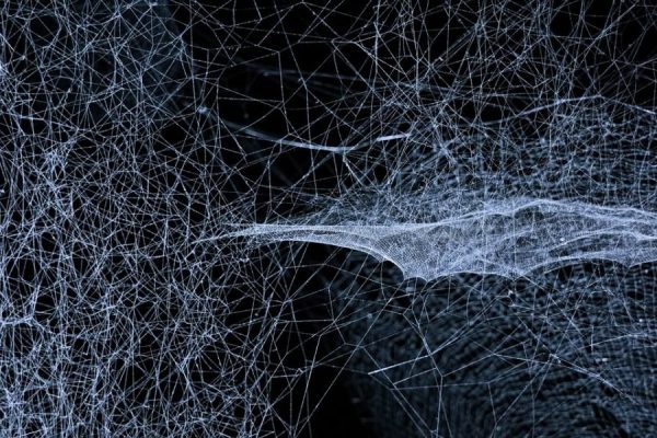This article explains a whole-brain approach to memory, focus, and learning that treats cognition as an integrated system instead of isolated skills. Drawing on...