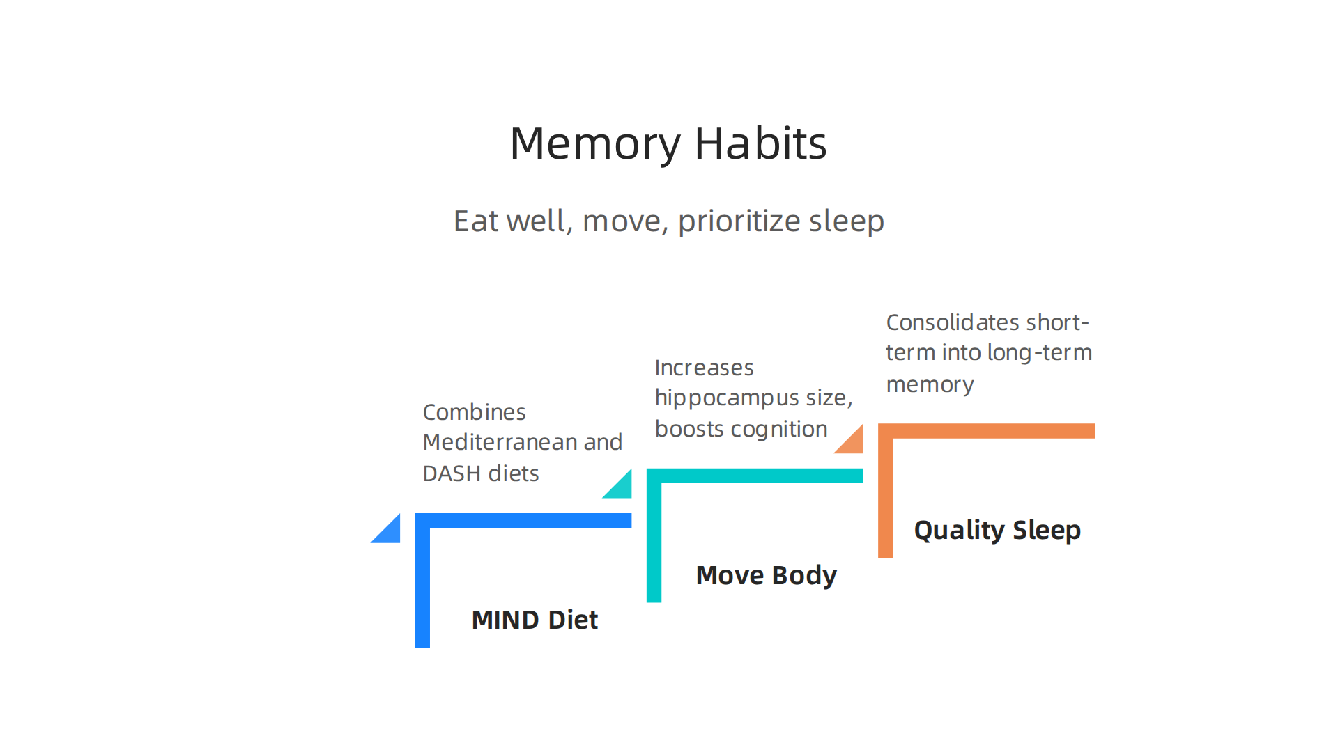 Diet, exercise, and sleep are fundamental pillars for maintaining and improving cognitive health in seniors.