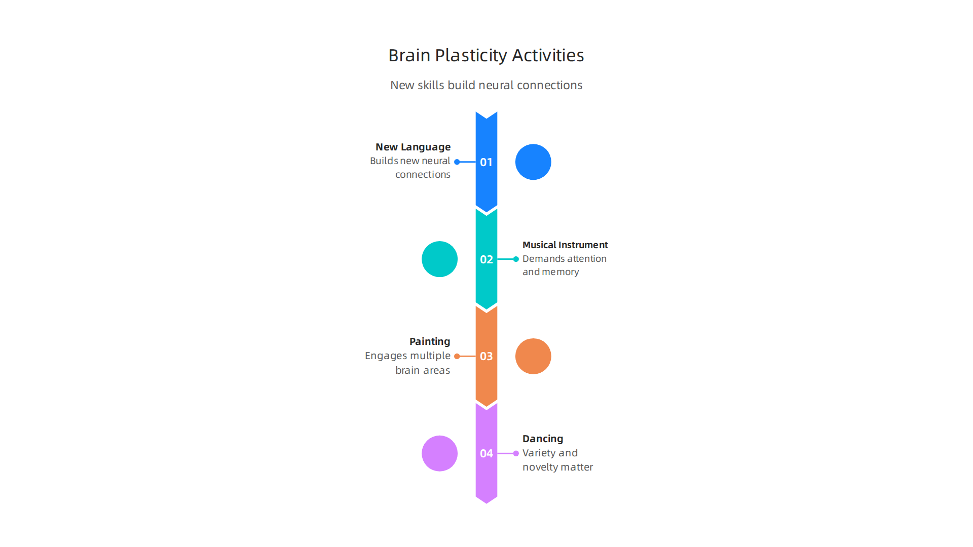 Engaging in new and complex activities challenges the brain, building new neural connections and enhancing plasticity.