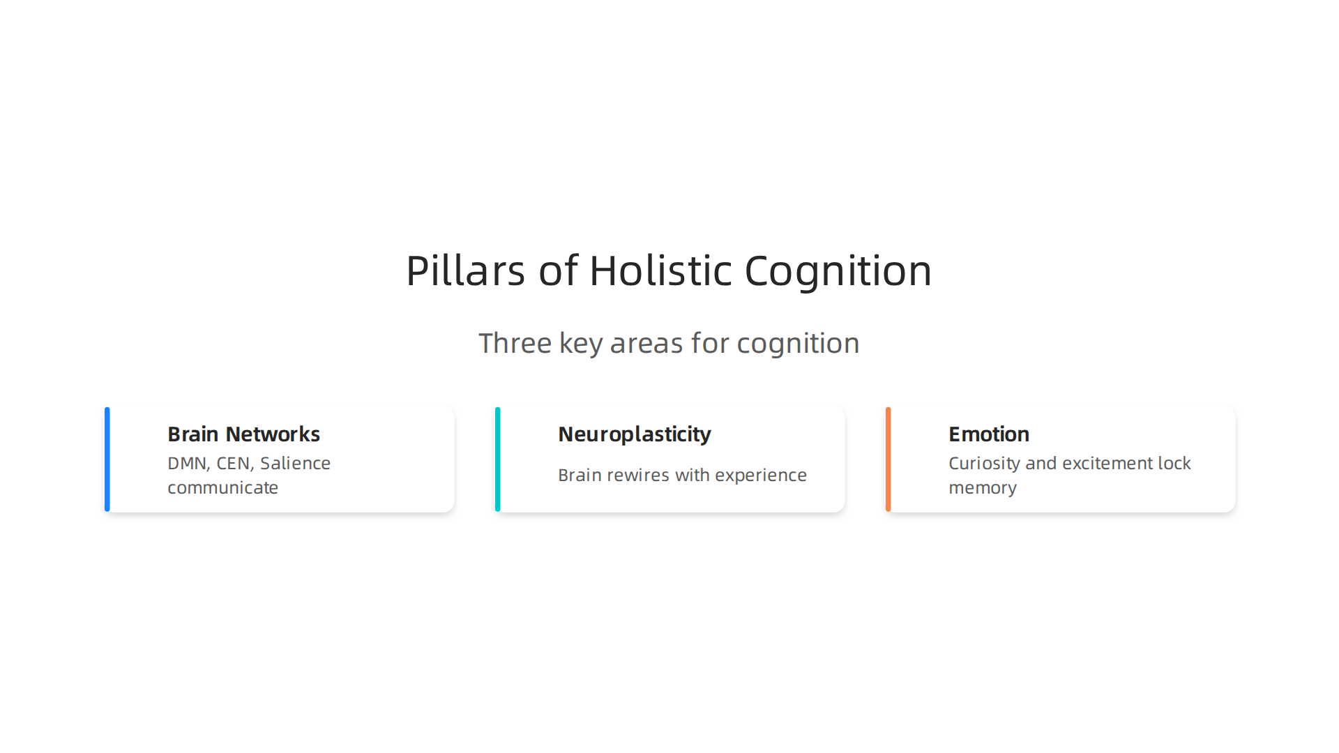 Illustrating the three key pillars of holistic cognition: Brain Networks, Plasticity, and Emotion.