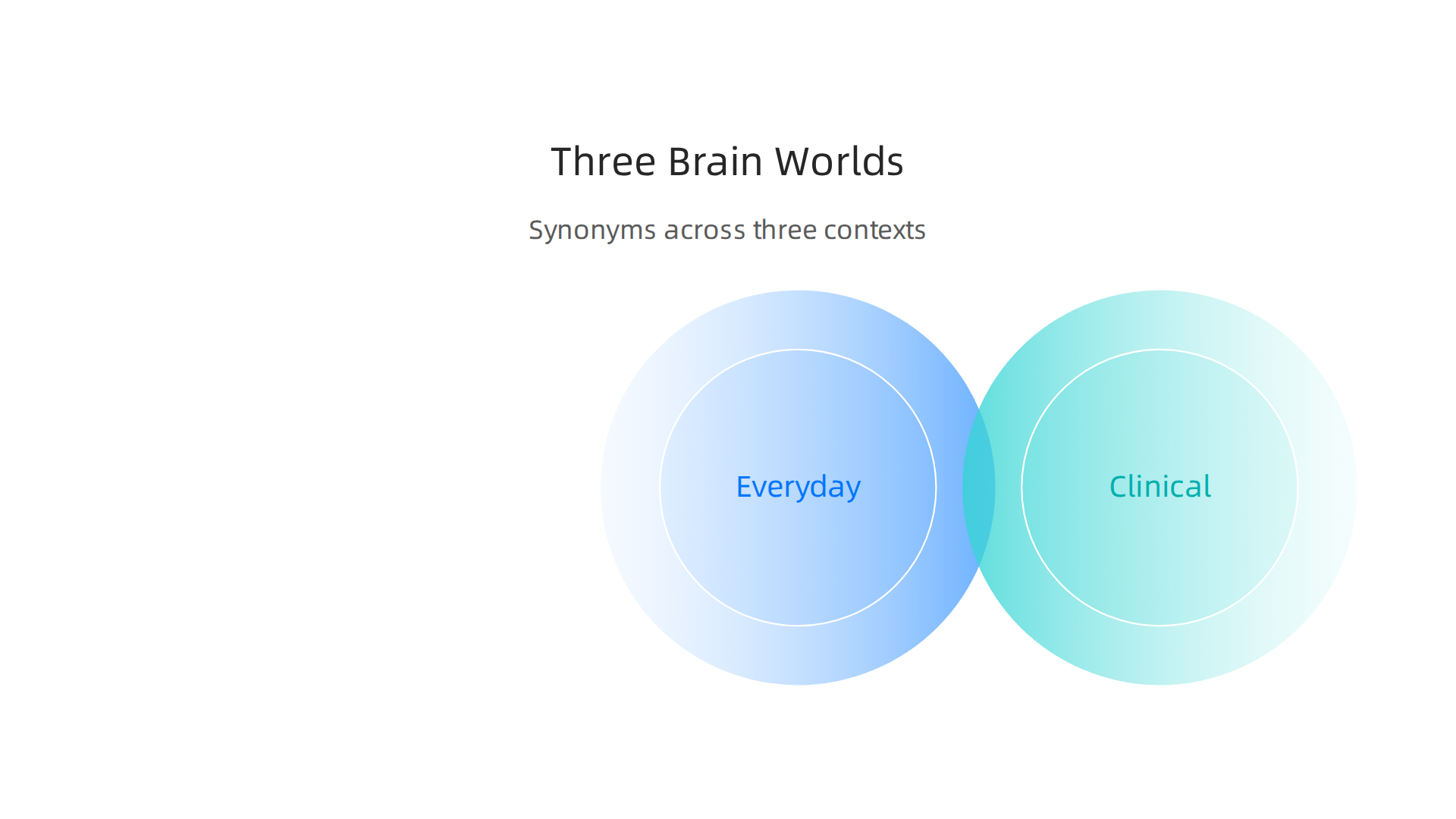 An infographic illustrating the three main contexts for understanding and using brain synonyms.
