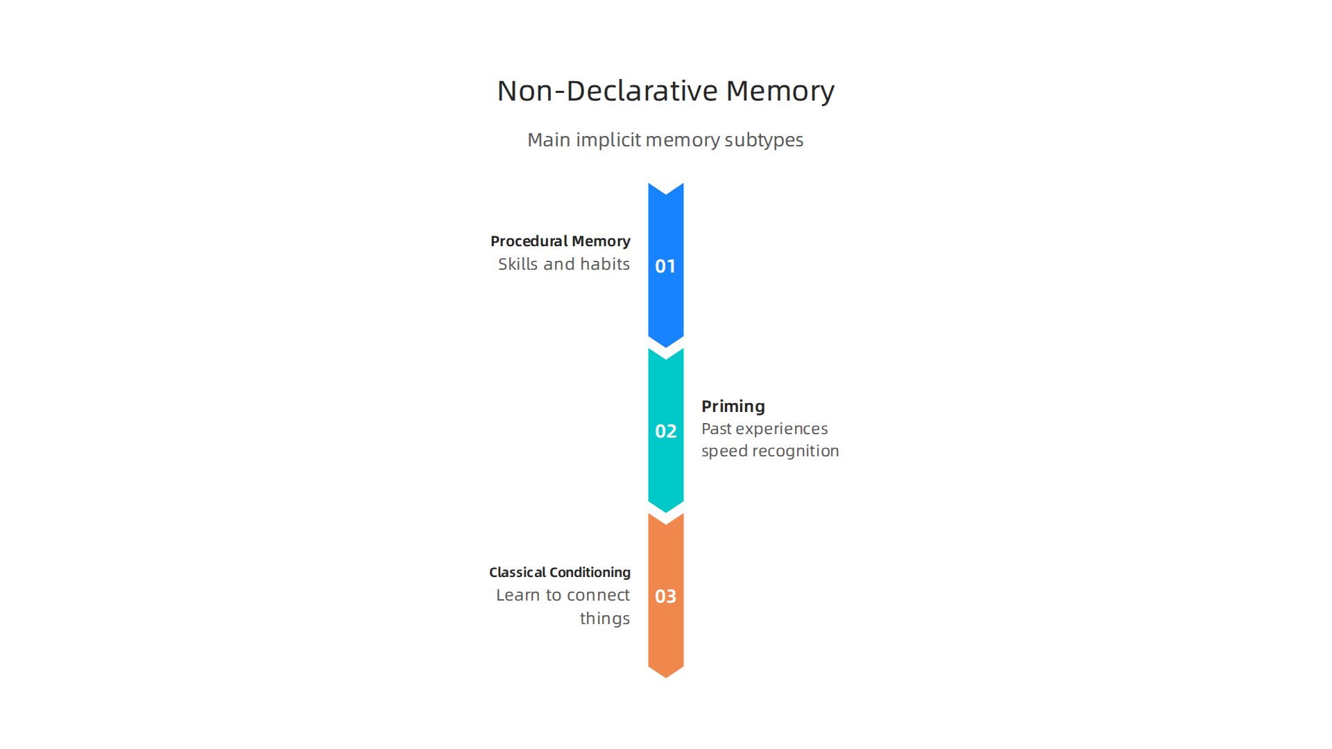 Visualizing non-declarative memory, highlighting procedural skills, priming effects, and classical conditioning.