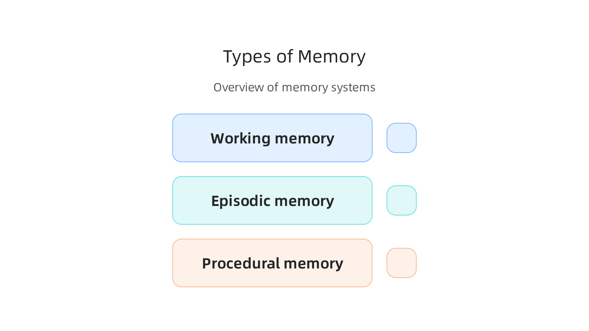An overview of the brain's distinct memory systems and their functions.